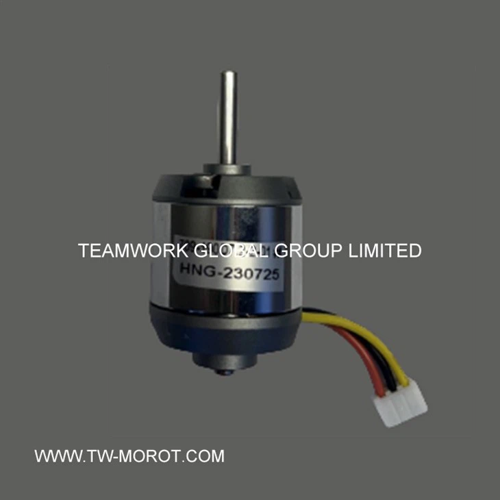 Radio Control Car Motor