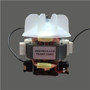 Trydan Cyfnod Sengl Ar gyfer Sychwr Gwallt